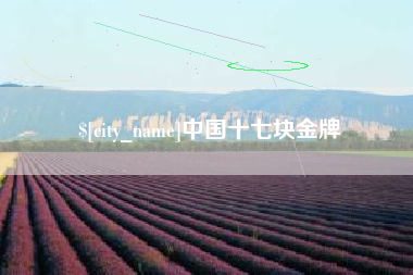 云浮中国十七块金牌