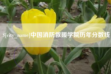 云浮中国消防救援学院历年分数线