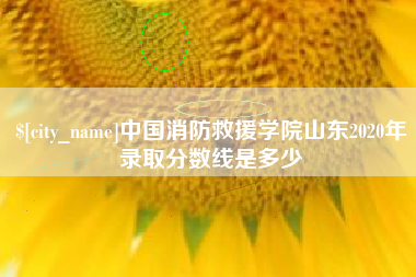 云浮中国消防救援学院山东2020年录取分数线是多少