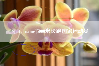 云浮5000米长跑国家运动员