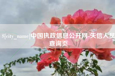 云浮中国执政信息公开网-失信人员查询页