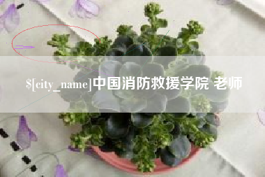 云浮中国消防救援学院 老师