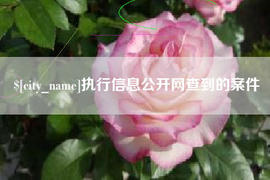 云浮执行信息公开网查到的案件