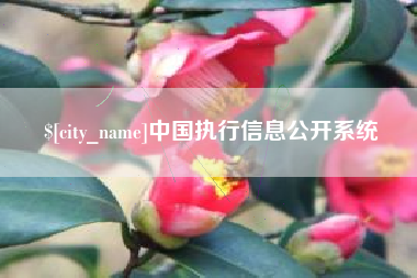 云浮中国执行信息公开系统