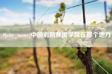 云浮中国消防救援学院在那个地方