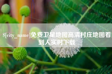 云浮免费卫星地图高清村庄地图看到人实时下载