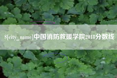 云浮中国消防救援学院2018分数线