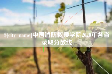 云浮中国消防救援学院2020年各省录取分数线