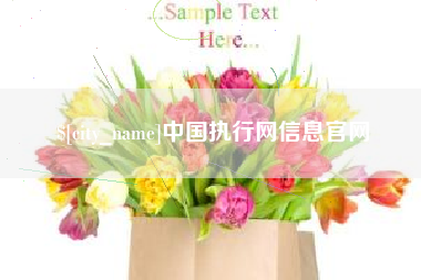 云浮中国执行网信息官网
