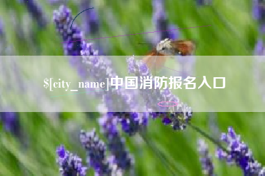 云浮中国消防报名入口