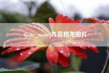 云浮九宫格龙图片