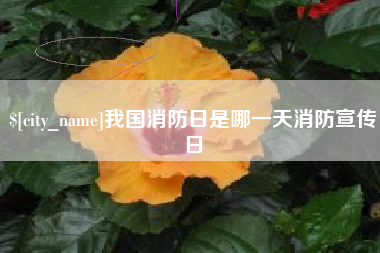云浮我国消防日是哪一天消防宣传日