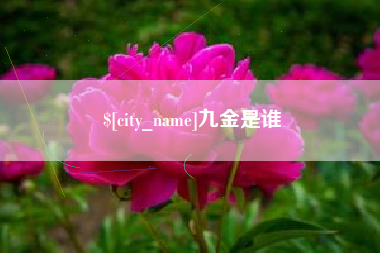 云浮九金是谁