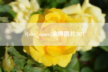 云浮金牌图片2021
