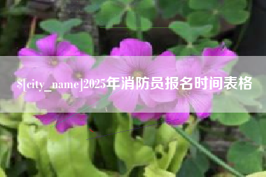 云浮2025年消防员报名时间表格