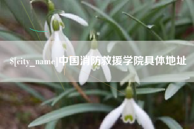云浮中国消防救援学院具体地址