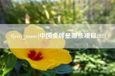 云浮中国金牌是哪些项目2021