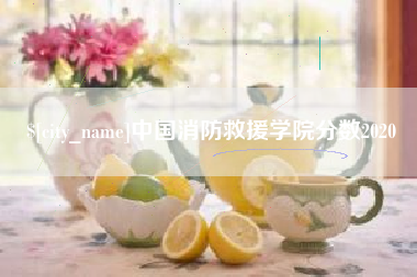 云浮中国消防救援学院分数2020