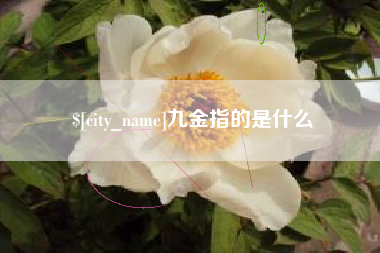 云浮九金指的是什么