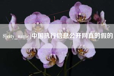 云浮中国执行信息公开网真的假的