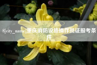 云浮重庆消防设施操作员证报考条件