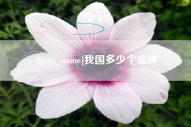 云浮我国多少个金牌