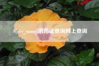 云浮消防证查询网上查询