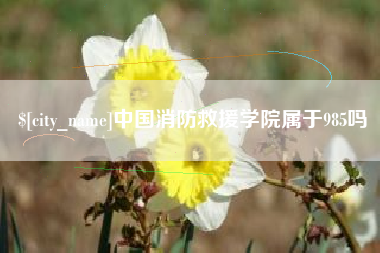 云浮中国消防救援学院属于985吗