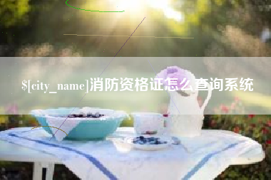 云浮消防资格证怎么查询系统