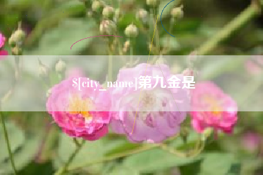 云浮第九金是
