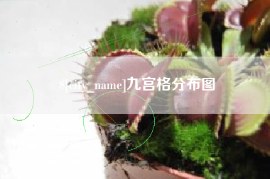 云浮九宫格分布图