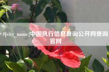 云浮中国执行信息查询公开网查询官网