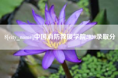 云浮中国消防救援学院2020录取分