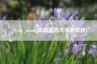 云浮河南消防大学分数线
