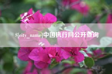 云浮中国执行网公开查询