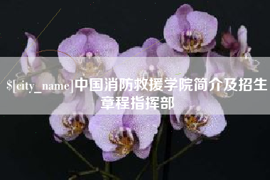 云浮中国消防救援学院简介及招生章程指挥部