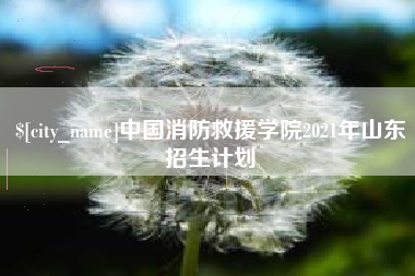 云浮中国消防救援学院2021年山东招生计划