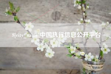 云浮中国执行信息公开平台