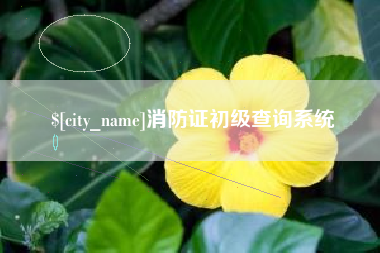 云浮消防证初级查询系统