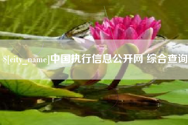 云浮中国执行信息公开网 综合查询