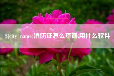 云浮消防证怎么查询,用什么软件