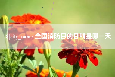 云浮全国消防日的日期是哪一天