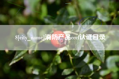 云浮消防产品cccf认证目录