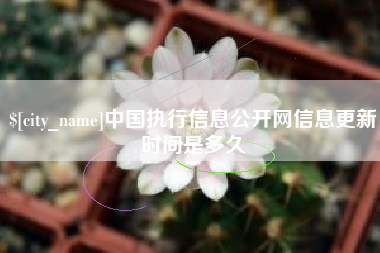 云浮中国执行信息公开网信息更新时间是多久