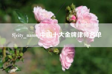 云浮中国十大金牌律师名单