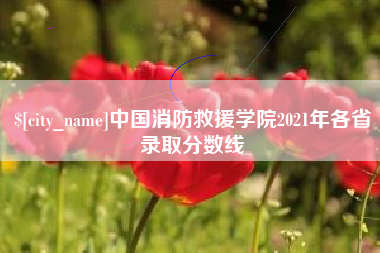 云浮中国消防救援学院2021年各省录取分数线