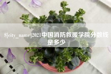 云浮2021中国消防救援学院分数线是多少