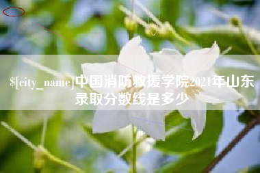 云浮中国消防救援学院2021年山东录取分数线是多少