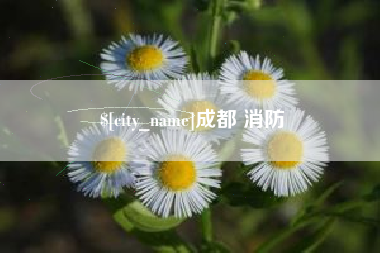 云浮成都 消防
