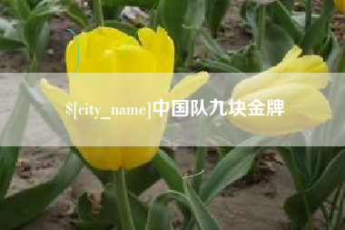 云浮中国队九块金牌